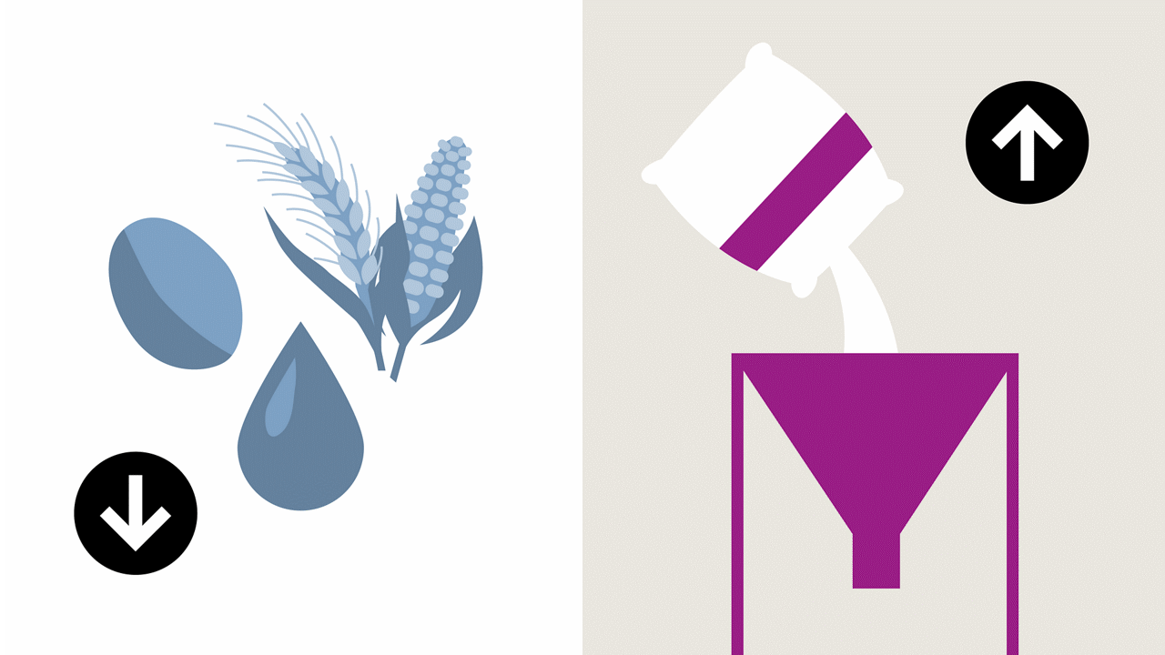 Low crude protein diets enhanced with Evonik’s amino acids boost livestock health and performance