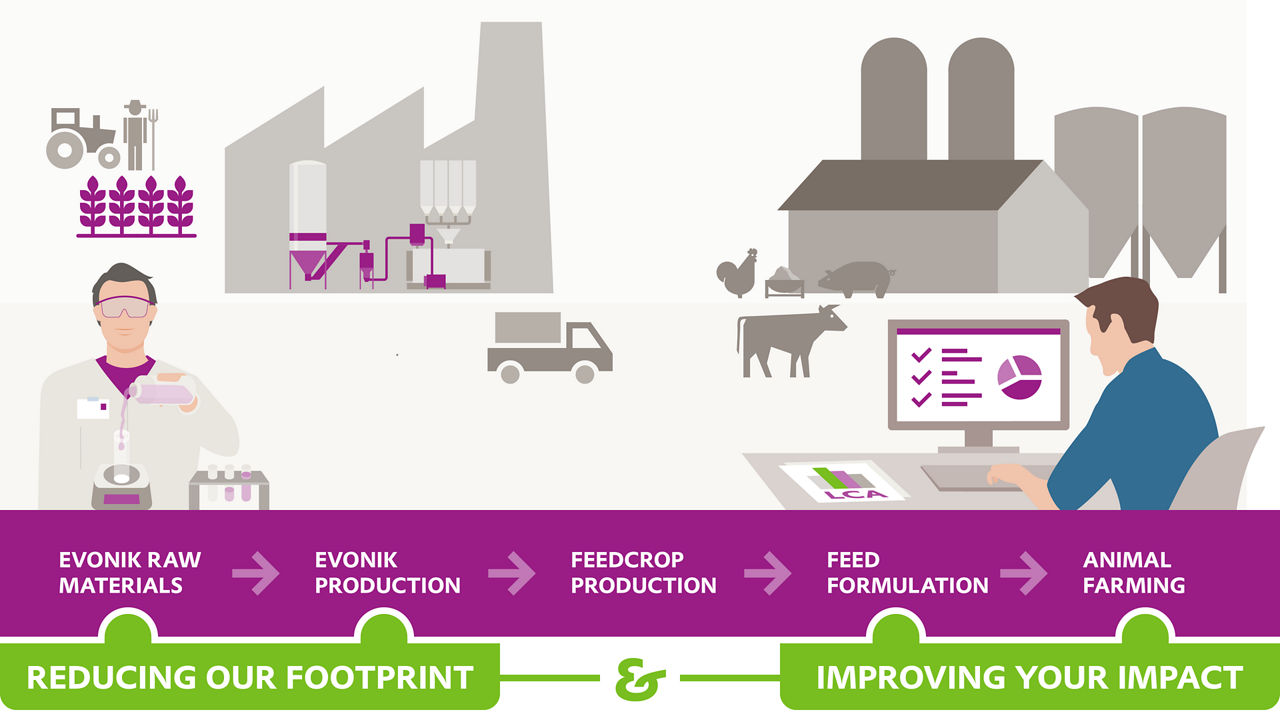 Infographic illustrating Evonik’s sustainability strategy across the animal protein value chain, showing two focus areas: reducing our footprint and improving customer impact.