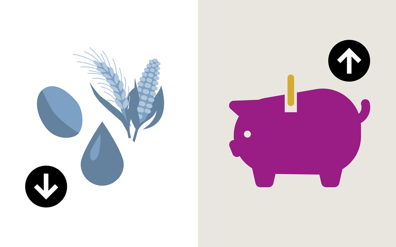 Low crude protein diets for more savings