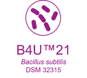 Evonik's B4U™21 strain - Bacillus subtilis DSM 32315 spore powder 