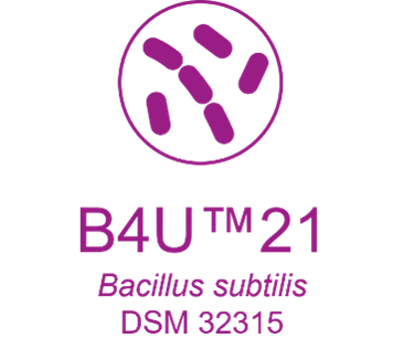 Evonik's B4U™21 strain - Bacillus subtilis DSM 32315 spore powder 