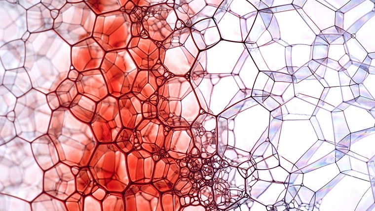 Close-up illustration of interconnected soap bubbles with red and transparent hues.