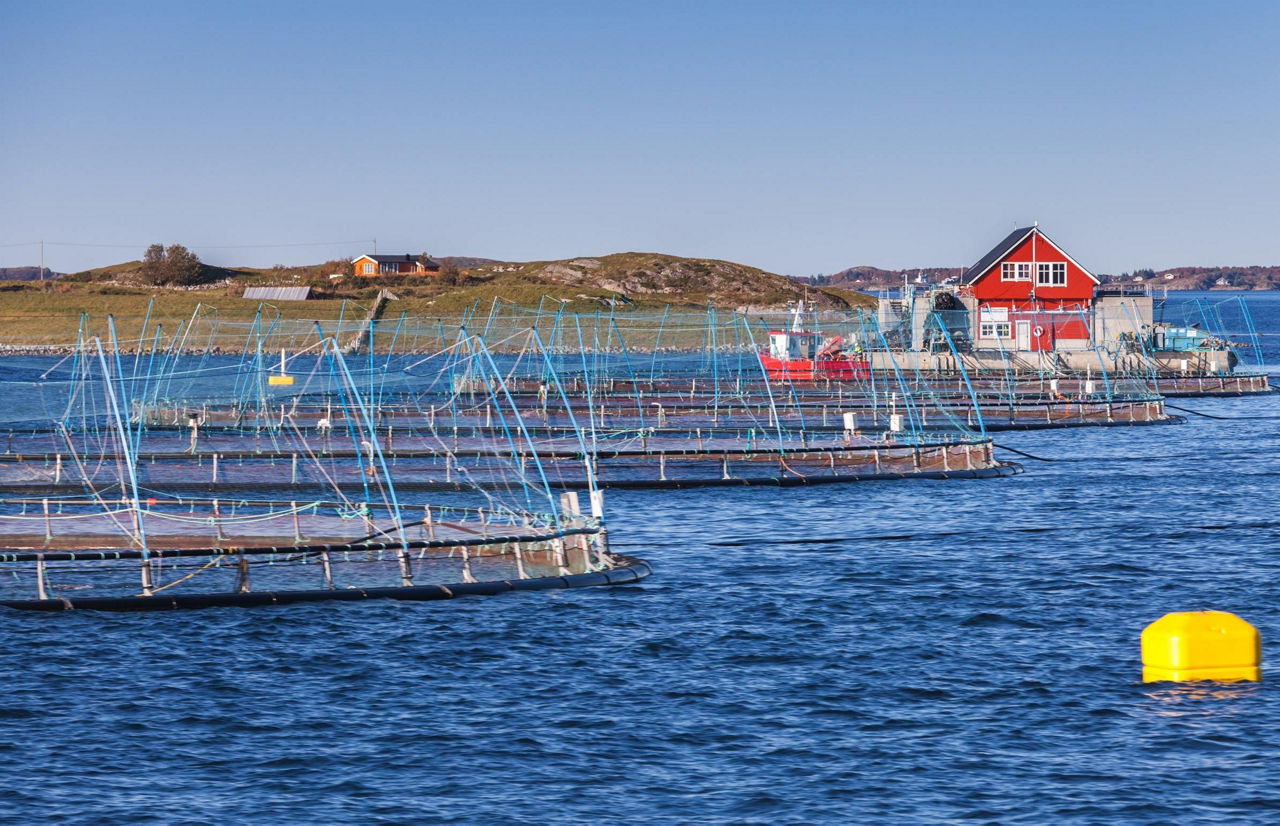 Blick auf eine Norwegische Lachsfarm