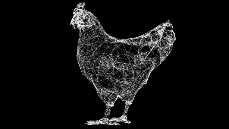 3d rendering chicken