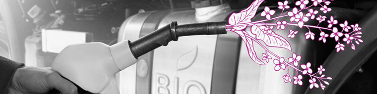 Biodiesel-Catalysts_crop.jpg