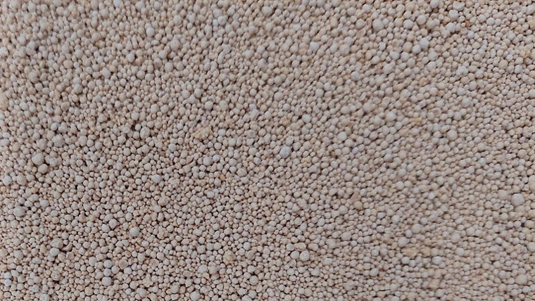 Biolys as a feed additive