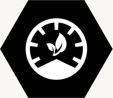 Alternative image