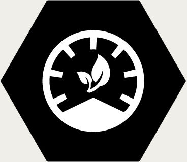 Alternative image