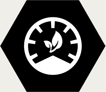 Alternative image