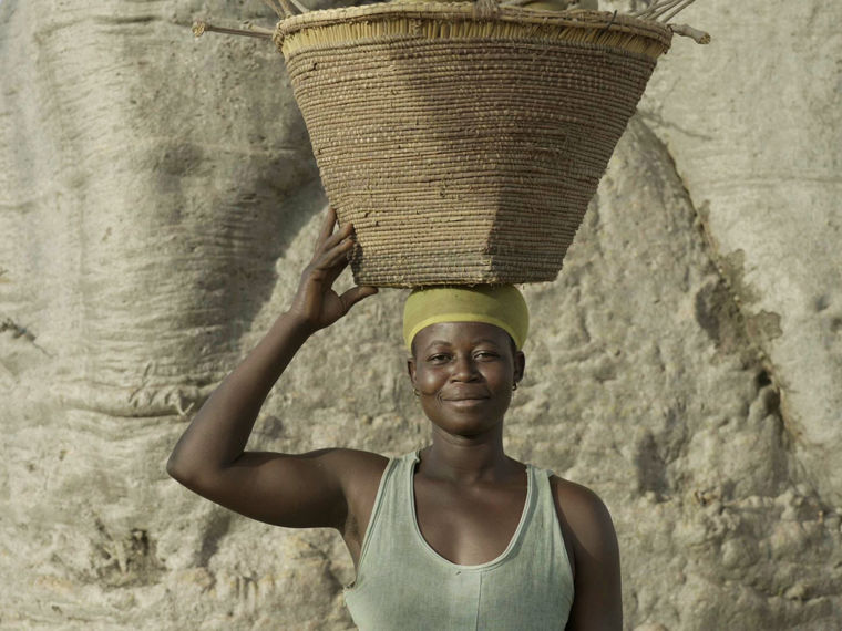 A Ghanaian woman stands in front of a wide trunk of a baobab tree. She is carrying a basket on her head and smiling at the camera.