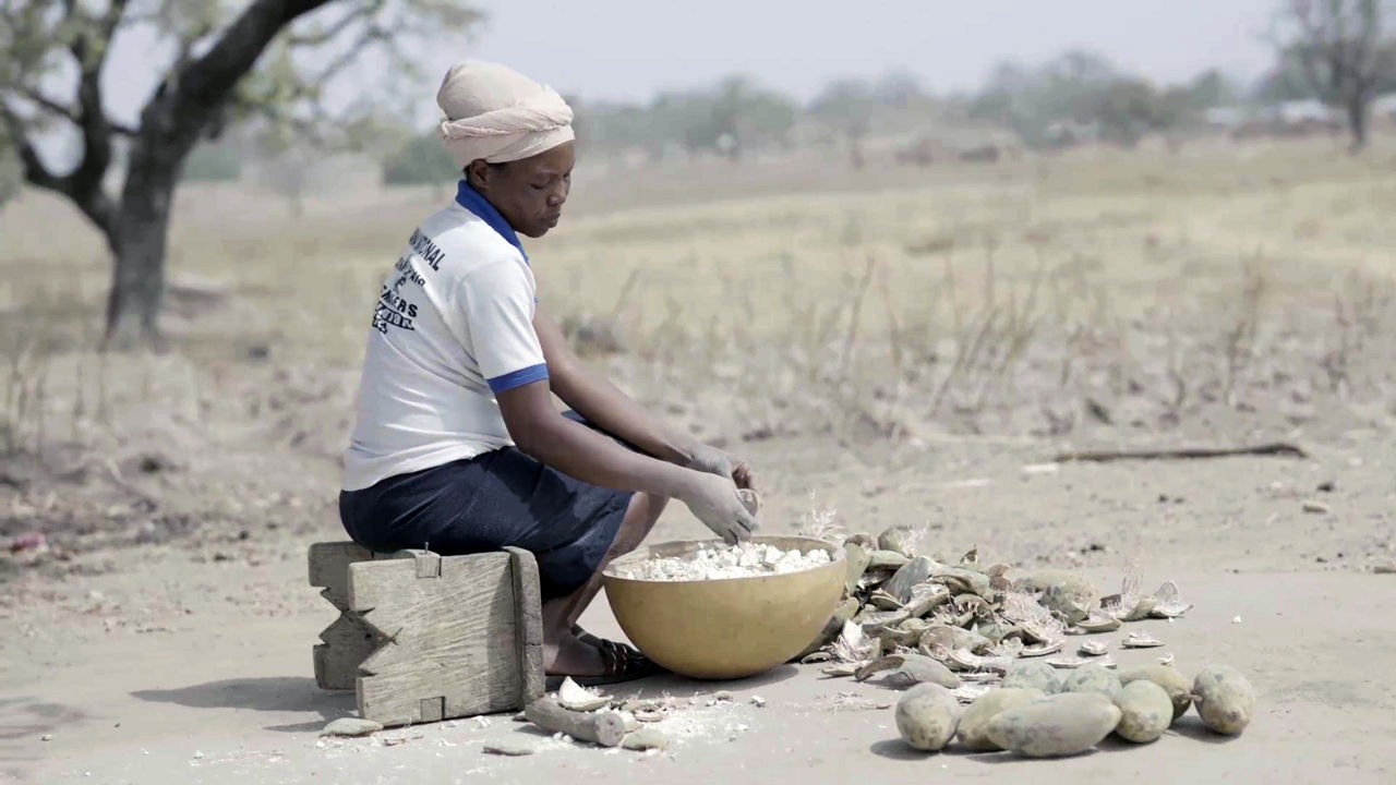 A Ghanaian woman sits on a wooden stool outside and cuts up baobab fruit.