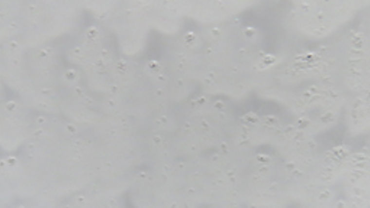 Alternative image