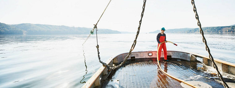 Person cleaning a boat