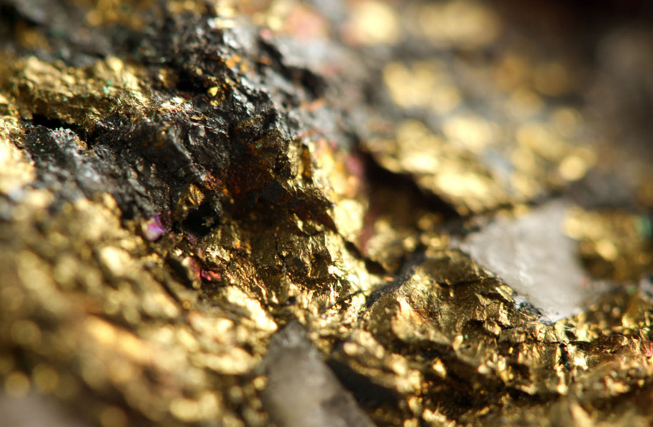 Golden background. Macro 