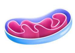 Alternative image