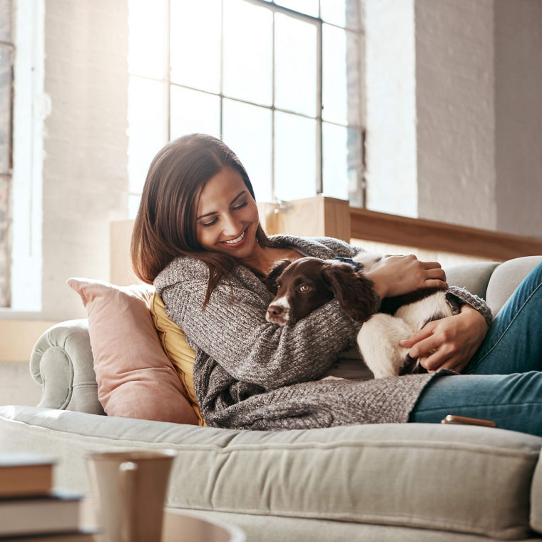 Woman sitting on a sofa, holding a dog in her armsFrau sitzt auf einem Sofa und hält einen Hund im Arm