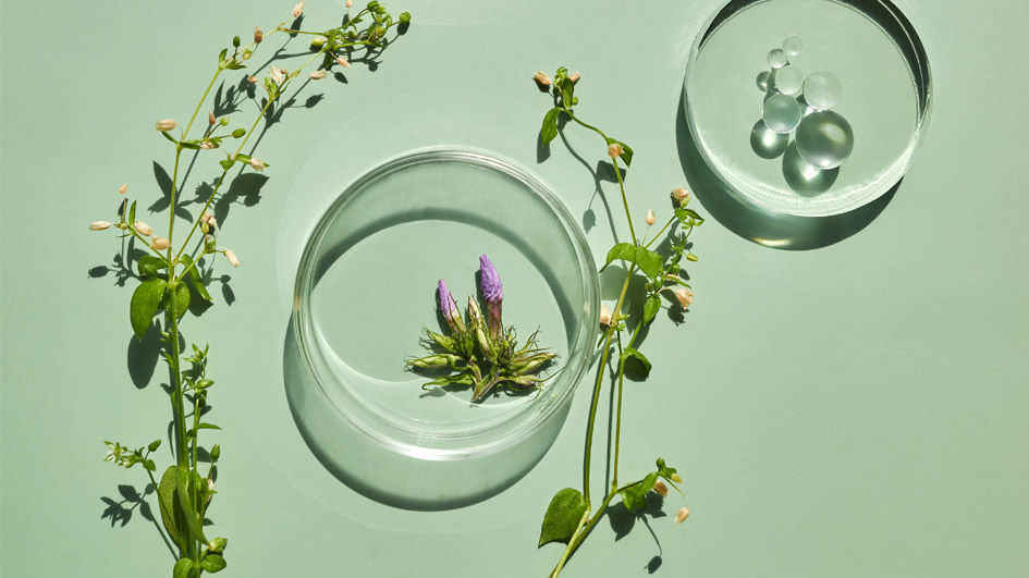 Cosmetic product develoment KV