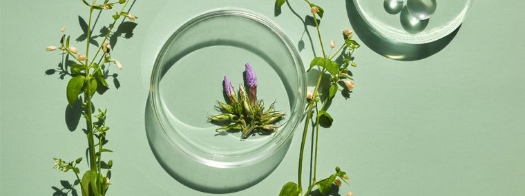 Cosmetic product develoment KV