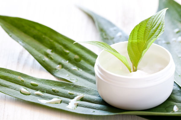 Naturkosmetik_Cremetigel_Blätter