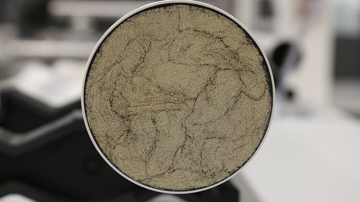 A cross-section of a membrane unit: thousands of fiber ends can be seen.