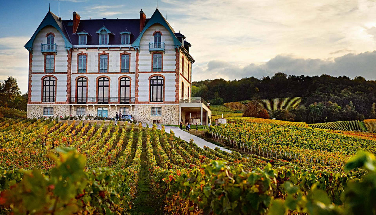 Ein Gutshaus in Weinbergen.