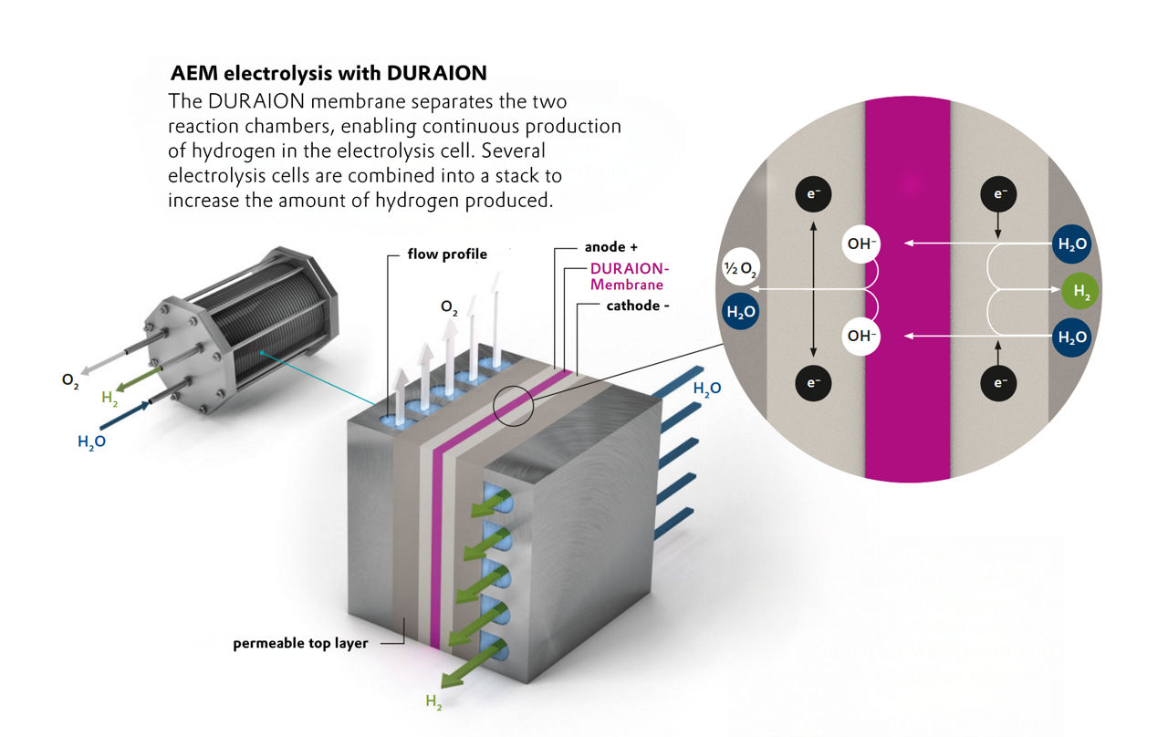 The Functionality of the Duraion Membrane