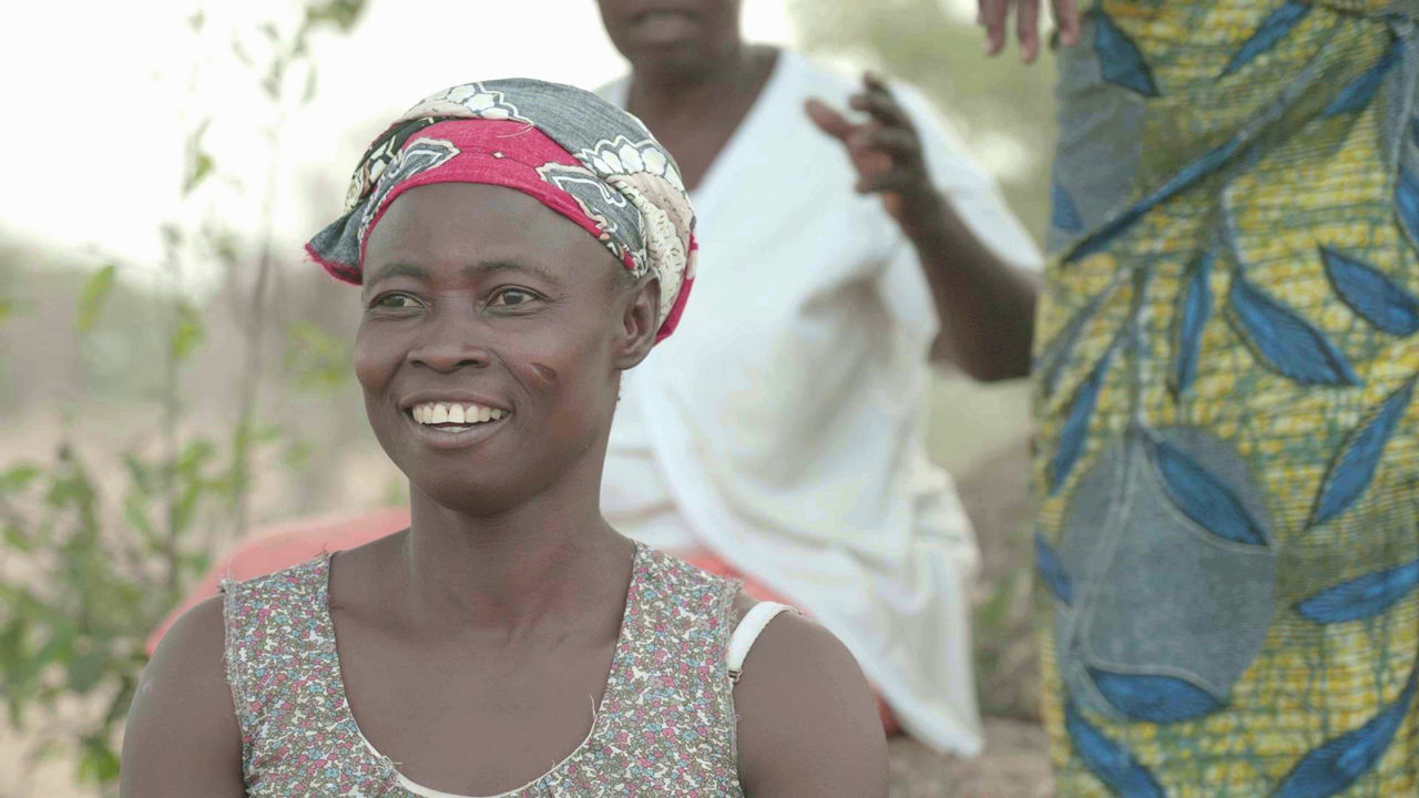 Ghanaian Farmer of Baobab Fruits