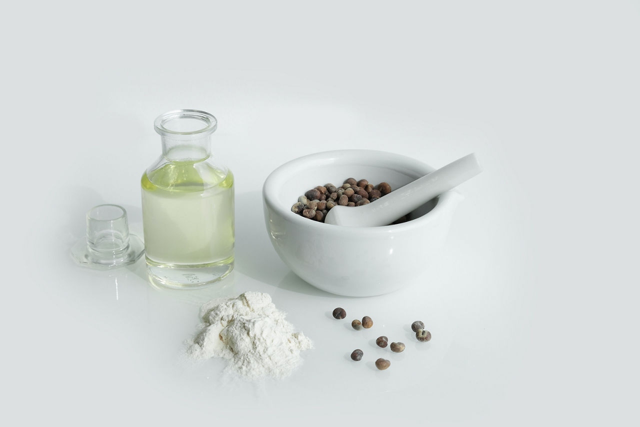 Baobab tree seeds in cup and oil