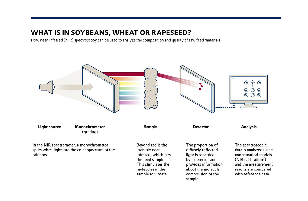 Graphic Monochormatic analysis of cereals for animal nutrition