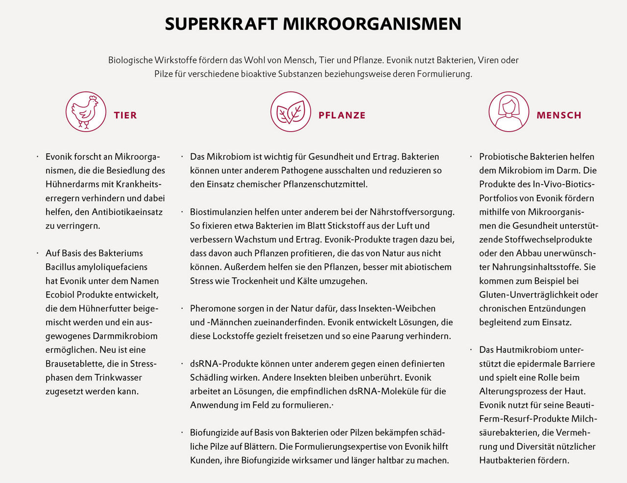 Infobox zählt die Wirkung von Mikroorganismane auf Tiere, Pflanzen und Menschen auf.