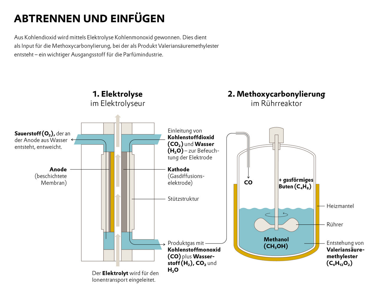 Alternativbild