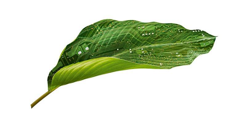 Composing Blatt und Platine zum Thema Biotechnologie