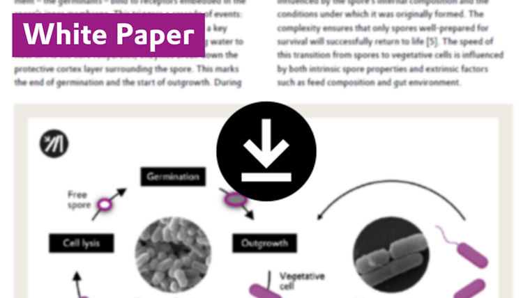 Explore how spore-forming probiotics work, why germination matters, and how faster activation improves efficacy, gut health, and overall animal performance.