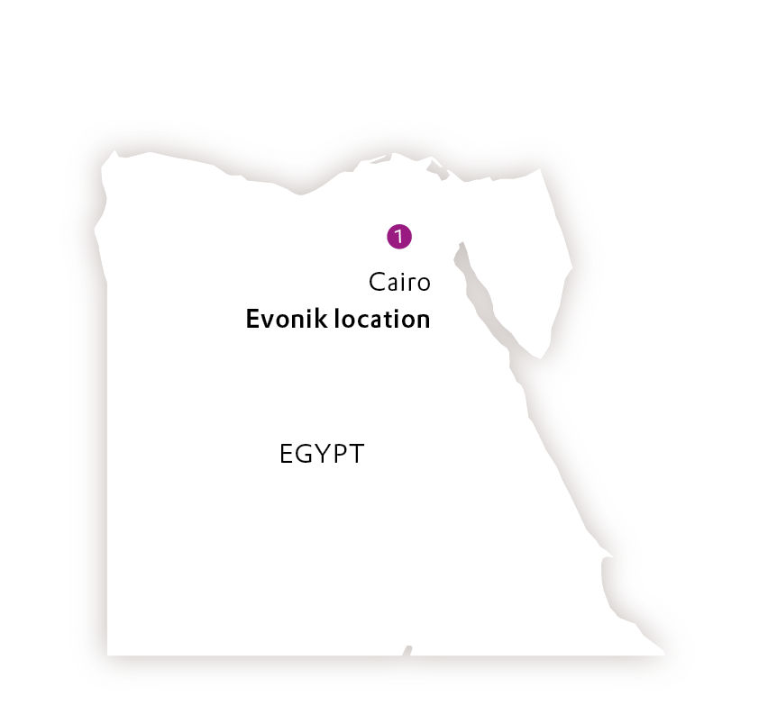 Eine Karte von Ägypten mit Standort des Evonik-Büros in Kairo