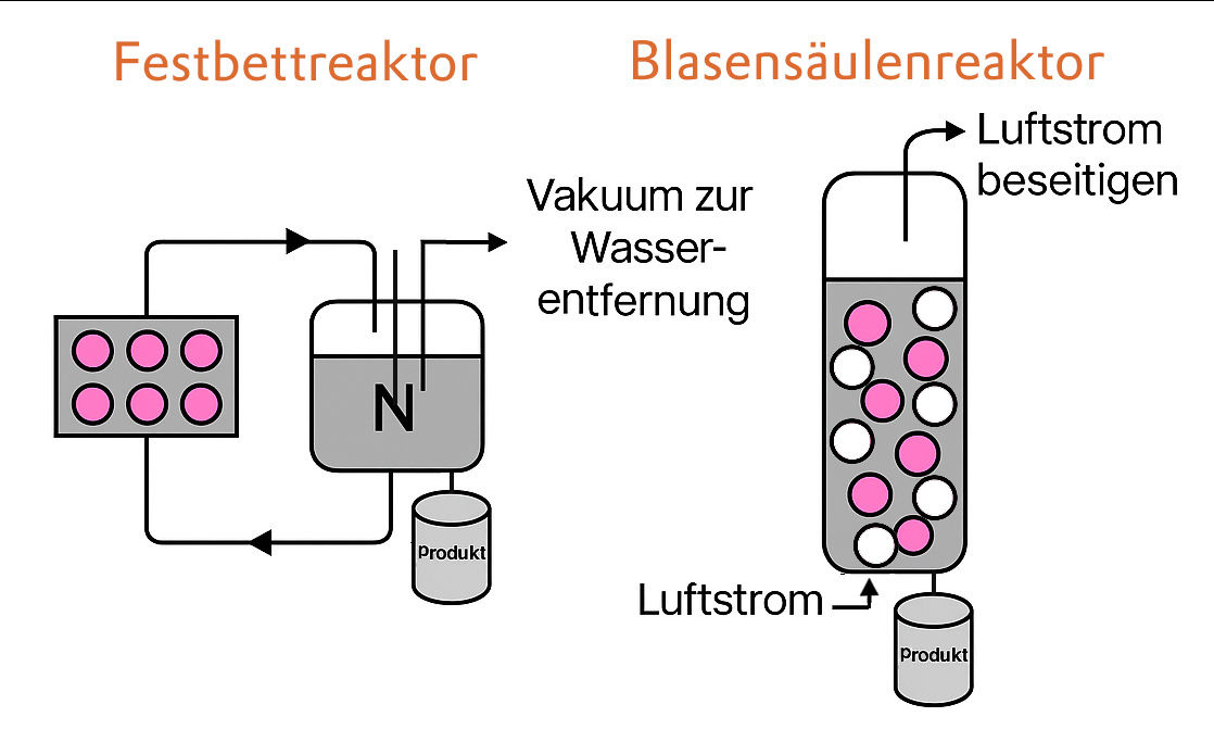 Eine schematische Darstellung von zwei verschiedenen Reaktortypen in der chemischen Industrie. Auf der linken Seite ist ein Festbettreaktor abgebildet, der mit einem N für den Reaktionsbehälter und einem Produktbehälter verbunden ist. Auf der rechten Seite befindet sich ein Blasensäulenreaktor, der mit einem Luftstrom und einem Produktbehälter verbunden ist. Zwischen den beiden Reaktoren sind Beschriftungen, die die Funktionen wie "Vakuum zur Wasserentfernung" und "Luftstrom beseitigen" erläutern.