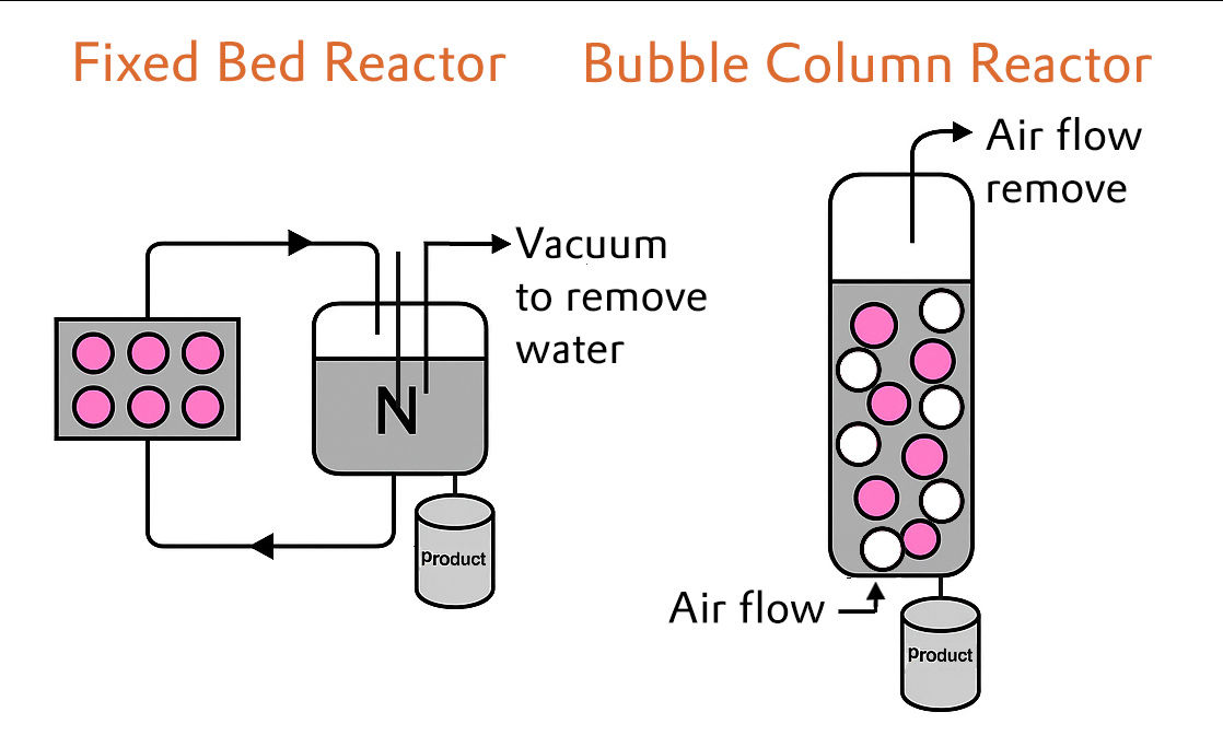 A schematic representation of two different reactor types in the chemical industry. On the left side, a fixed-bed reactor is shown, connected to a reaction vessel labeled "N" and a product container. On the right side, there is a bubble column reactor, connected to an air stream and a product container. Between the two reactors, labels explain functions such as "vacuum for water removal" and "eliminate air stream."