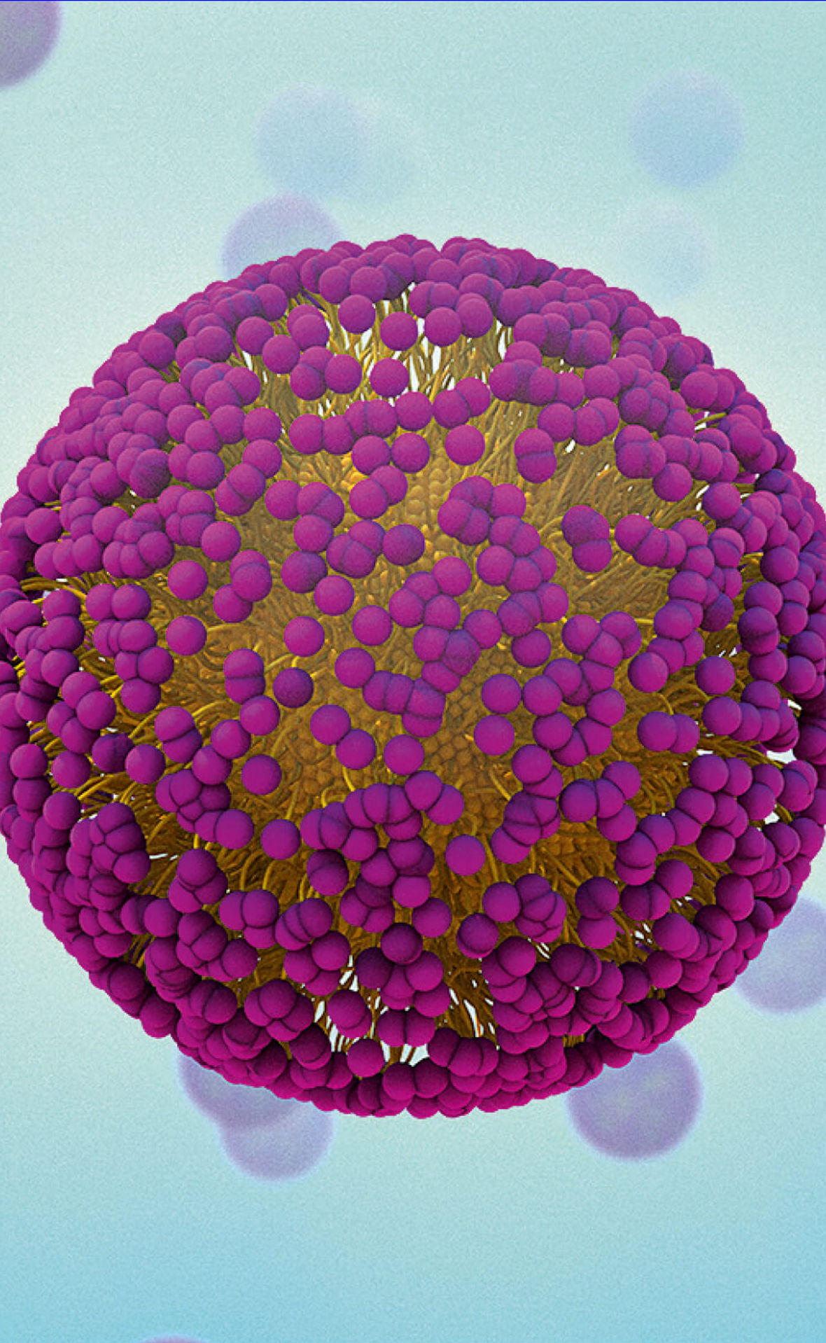 Die Kombination aus Wasser liebenden Köpfchen (lila) und Wasser abweisenden Schwänzchen (gelb) sorgt für die Lösbarkeit von Mizellen in Wasser.