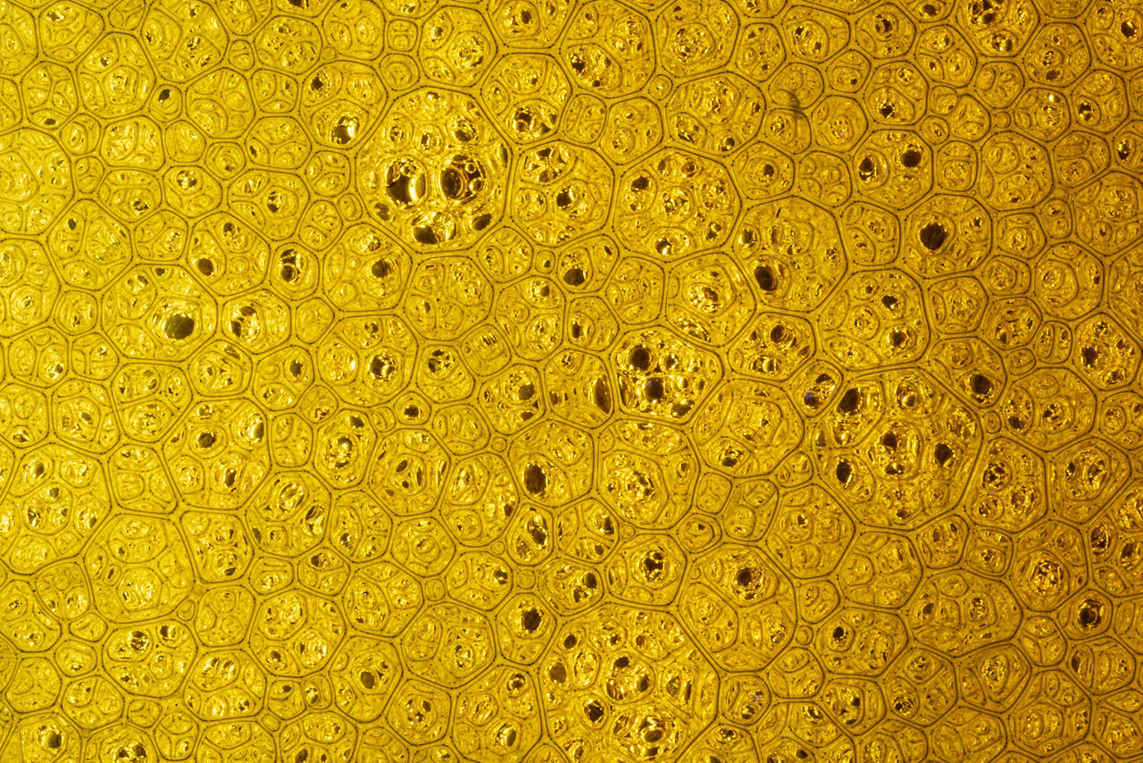 Rhamnolipide