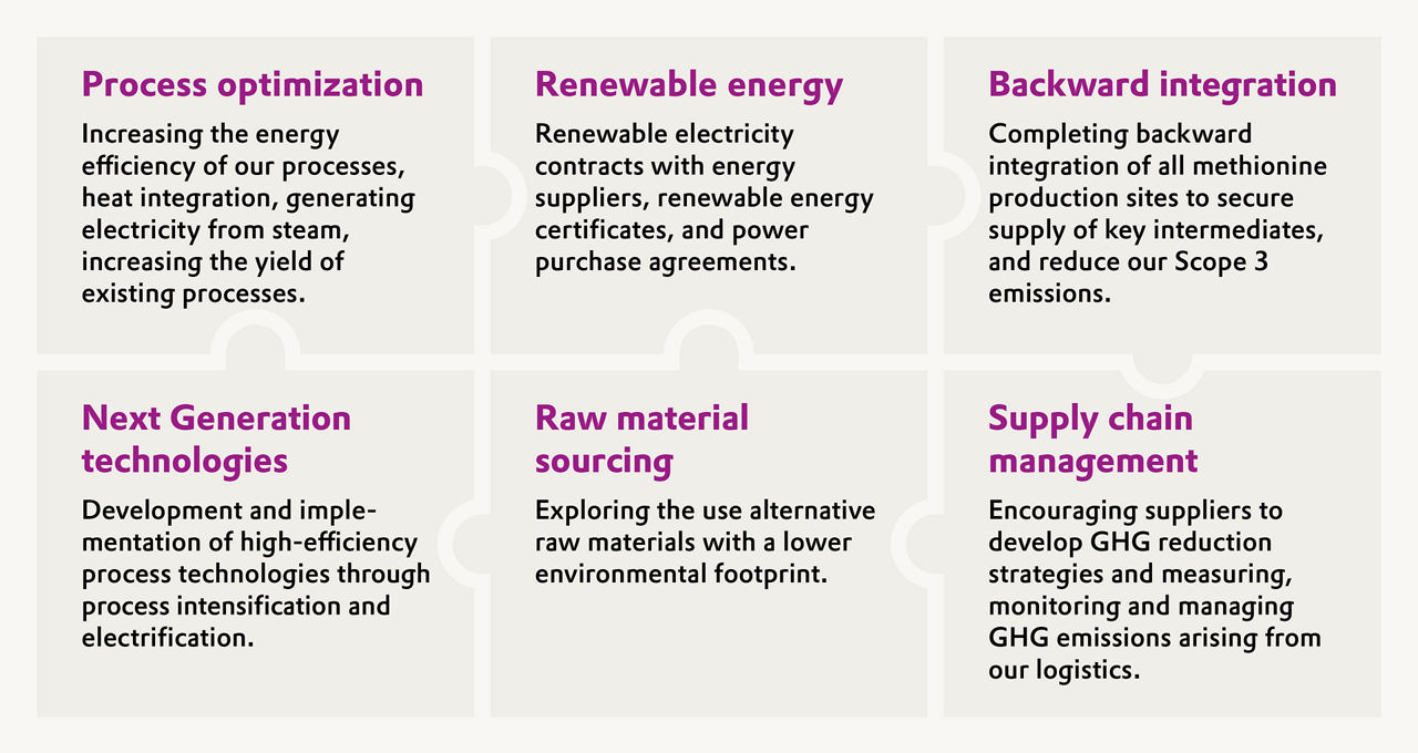 Strategic levers for reducing GHG emissions and driving sustainable animal nutrition.