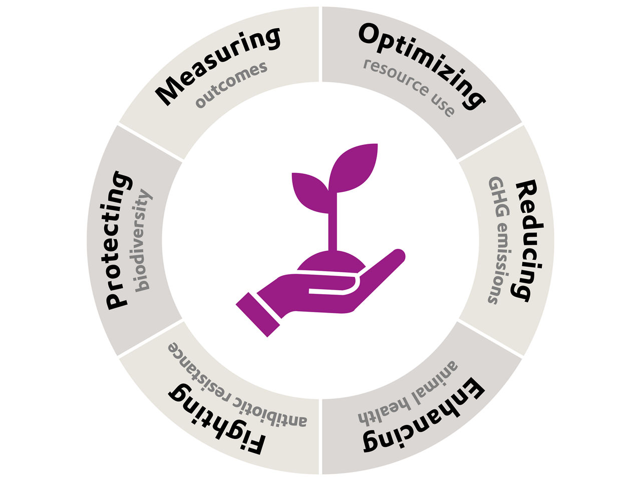Infographic illustrating Evonik’s key impact areas that drive measurable sustainability improvements for customers