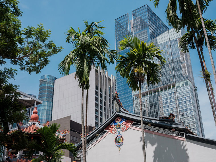 Blick durch Palmen auf Hochhäuser.