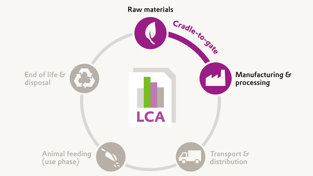 Infographic showing Evonik’s cradle-to-gate approach to Product Environmental Footprints, demonstrating transparent, science-based sustainability measurement.