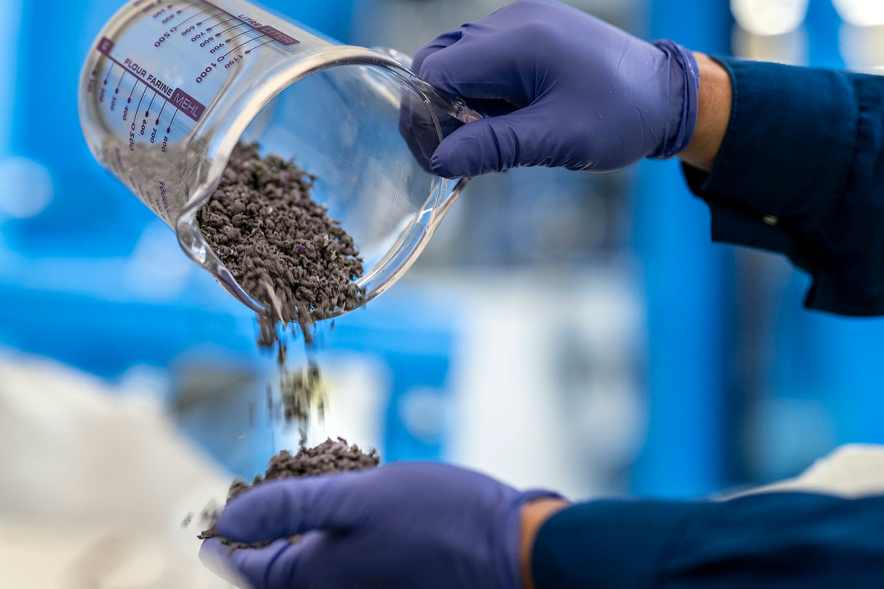Someone pours granules from a measuring cup into a gloved hand.