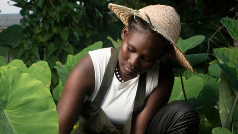 Woman harvesting