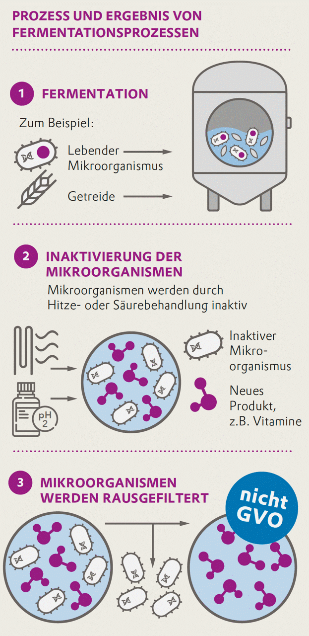Illustration zeigt den Prozess der Fermentation, Inaktivierung und Filtration von Mikroorganismen in drei Schritten.