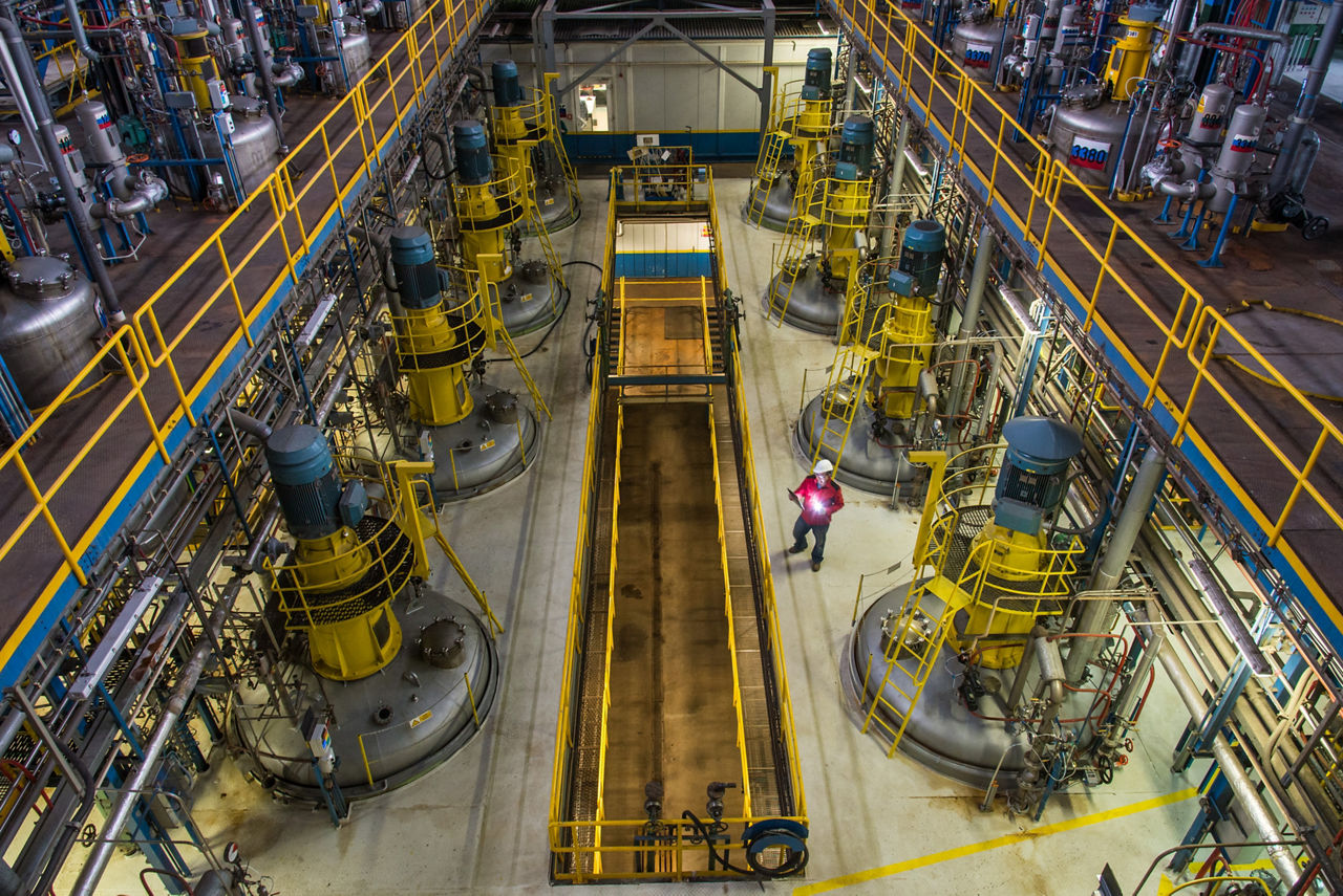 View from above of the large fermenter hall with yellow fermenters and blue agitator motors on top,