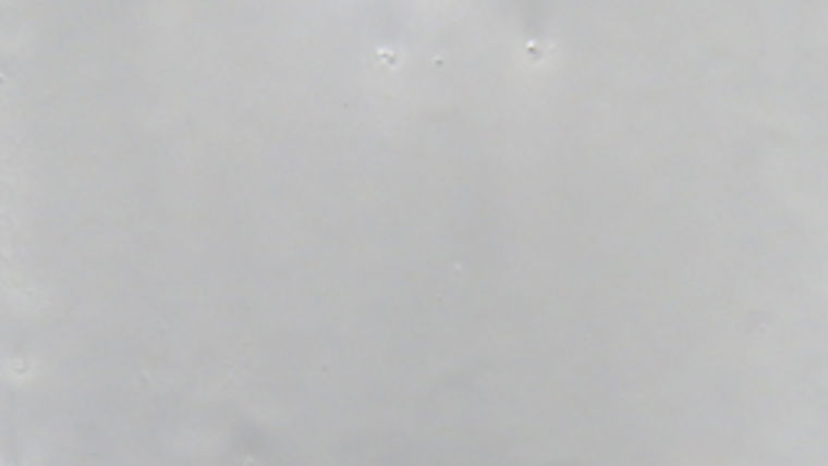 Alternative image