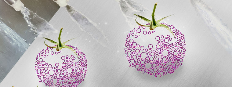 Peroxides for hygienic food processing