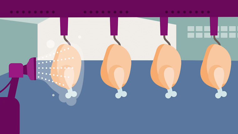 Environmentally compatible products based on peracetic acid ensure food safety in poultry processing.