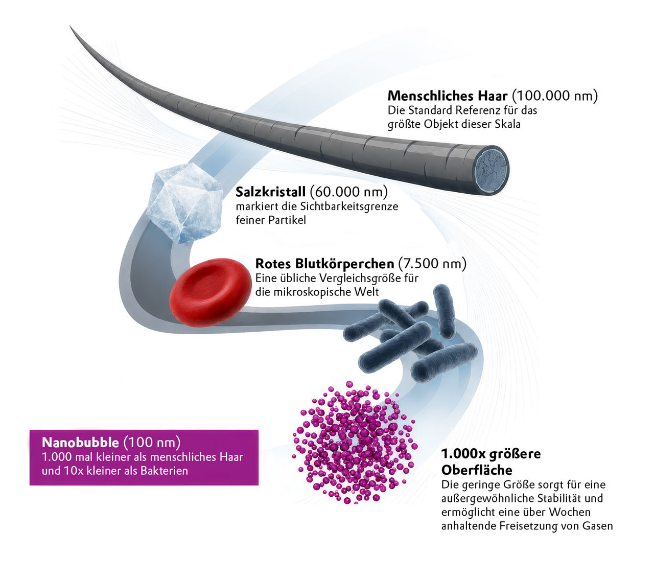 EIne Grafik zeigt, dass Nanobubbles deutlich kleiner sind als ein menschliches Haar.